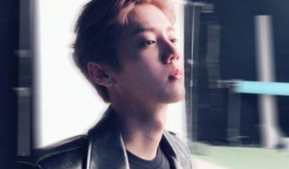 吃瓜娱乐圈鹿晗是谁啊,娱乐圈的瓜中明星