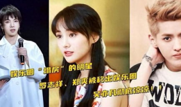 直播吃娱乐圈的瓜,瓜田李下，明星幕后故事大公开